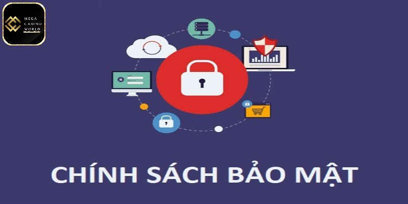 Chính sách bảo mật MCW66 - Cam kết an toàn tuyệt đối 3 Quyền riêng tư và bảo vệ thông tin